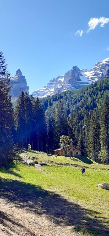 Chalet Brenta Dolomites Madonna Dış mekan fotoğraf
