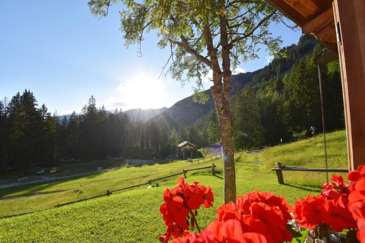 Chalet Brenta Dolomites Madonna Dış mekan fotoğraf