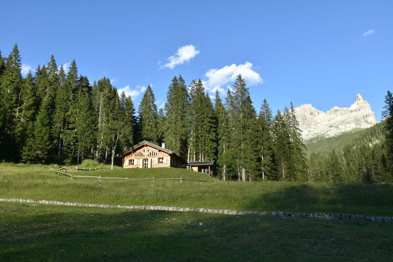 Chalet Brenta Dolomites Madonna Dış mekan fotoğraf