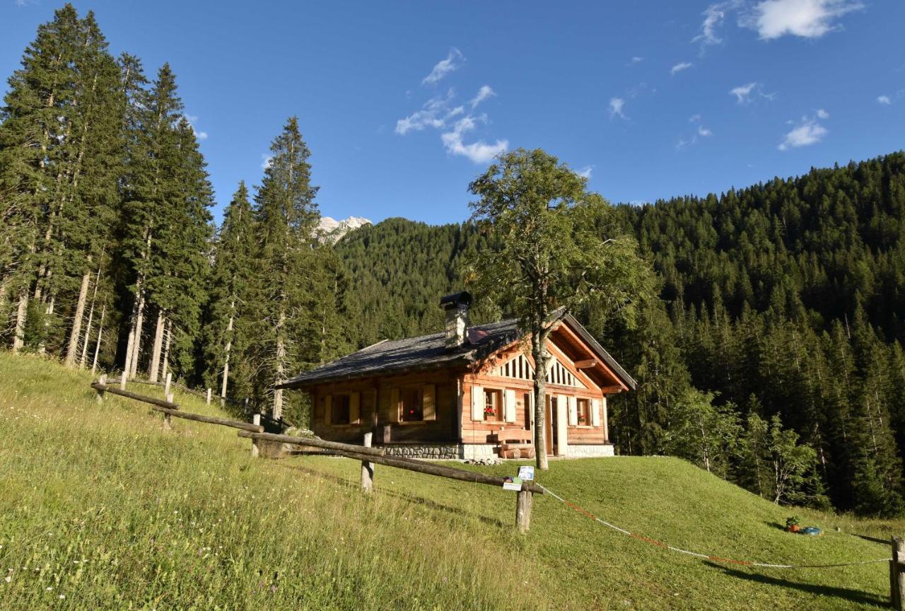 Chalet Brenta Dolomites Madonna Dış mekan fotoğraf