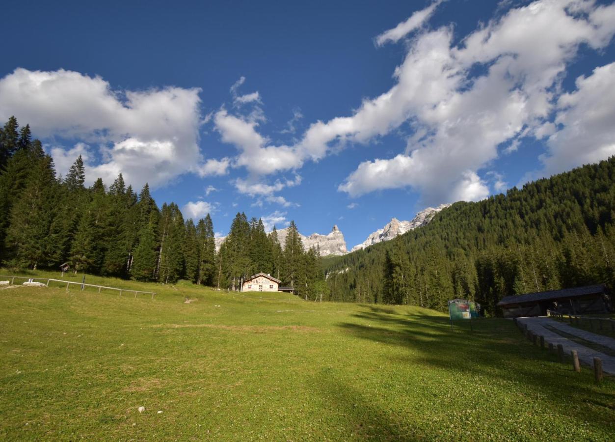 Chalet Brenta Dolomites Madonna Dış mekan fotoğraf
