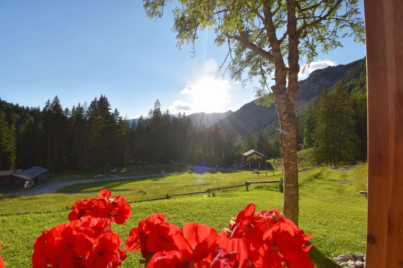 Chalet Brenta Dolomites Madonna Dış mekan fotoğraf