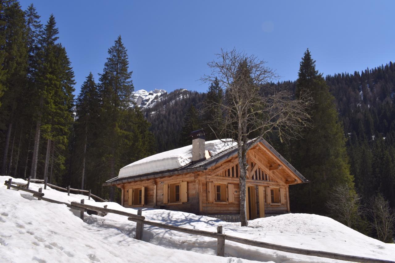 Chalet Brenta Dolomites Madonna Dış mekan fotoğraf