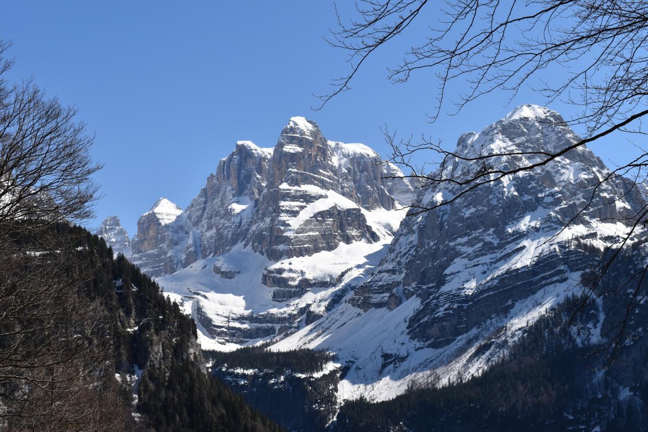 Chalet Brenta Dolomites Madonna Dış mekan fotoğraf