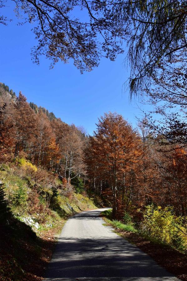 Chalet Brenta Dolomites Madonna Dış mekan fotoğraf