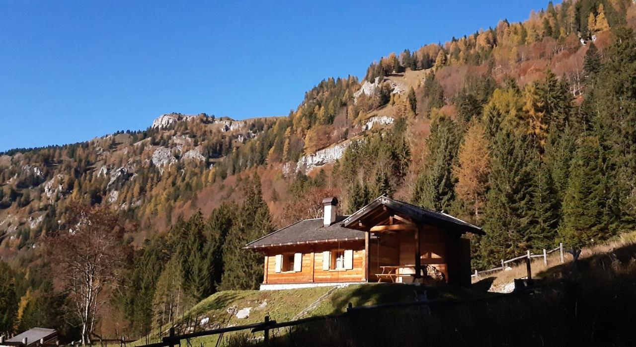 Chalet Brenta Dolomites Madonna Dış mekan fotoğraf